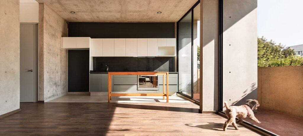 cocina moderna con un perro corriendo al balcón